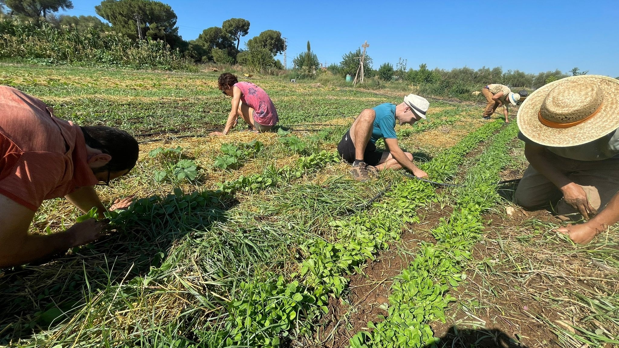 Enredaos con la Tierra: Jornada de trabajo